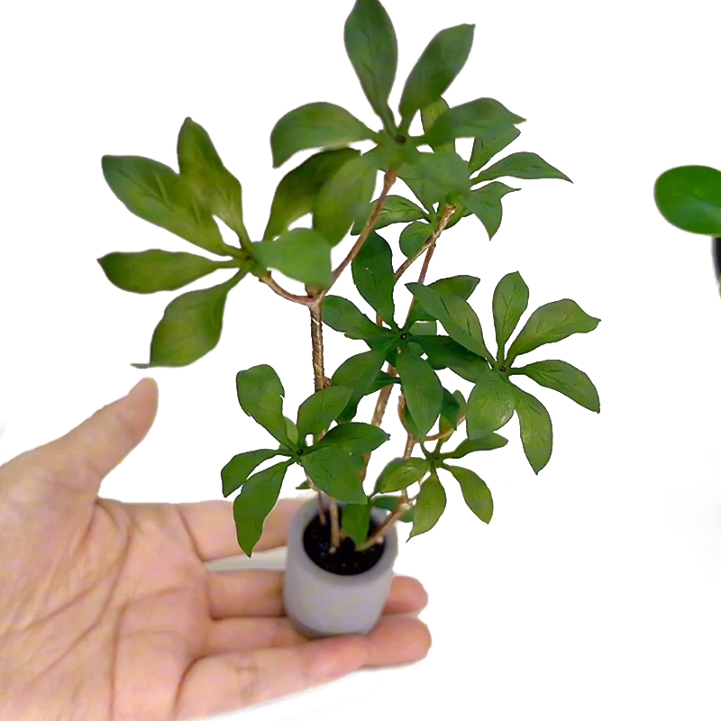 Smart Garden Mini - 1:6 domek dla lalek miniaturowe rośliny