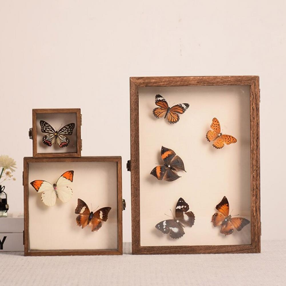 Insect Hotel Wood - Drewniana gablota Butterfly Shadow Box Wiele