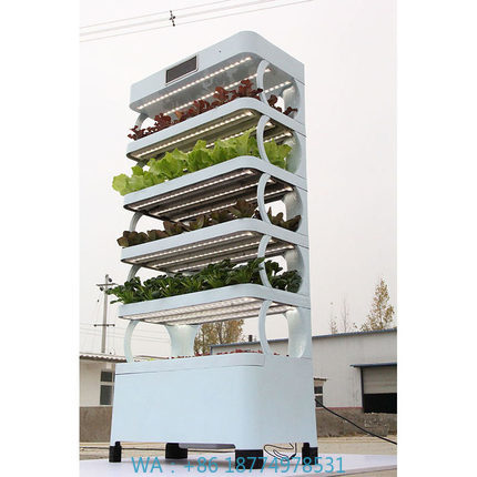 Smart Garden Home - Systemy hydroponiczne do uprawy w domu,