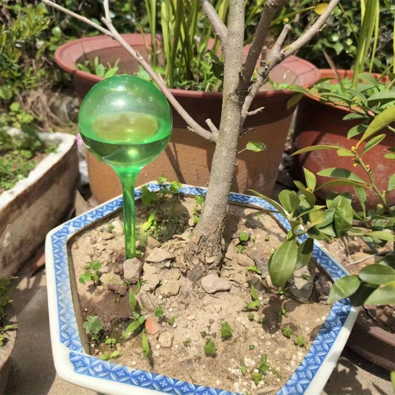 6 SZT. Samonawadniające Kulki  – Smart Garden Monitor recenzja i cena