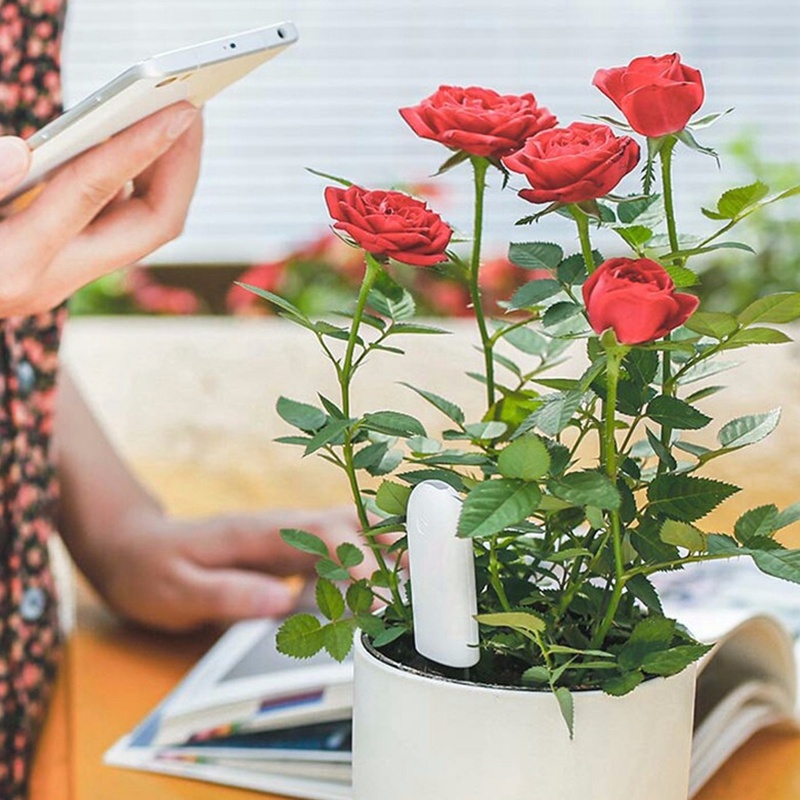 HHCC Flower Monitor Flora Gard – Smart Garden Monitor recenzja i cena