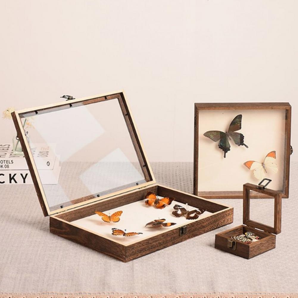 Drewniana gablota Butterfly Sh – Insect Hotel Wood recenzja i cena