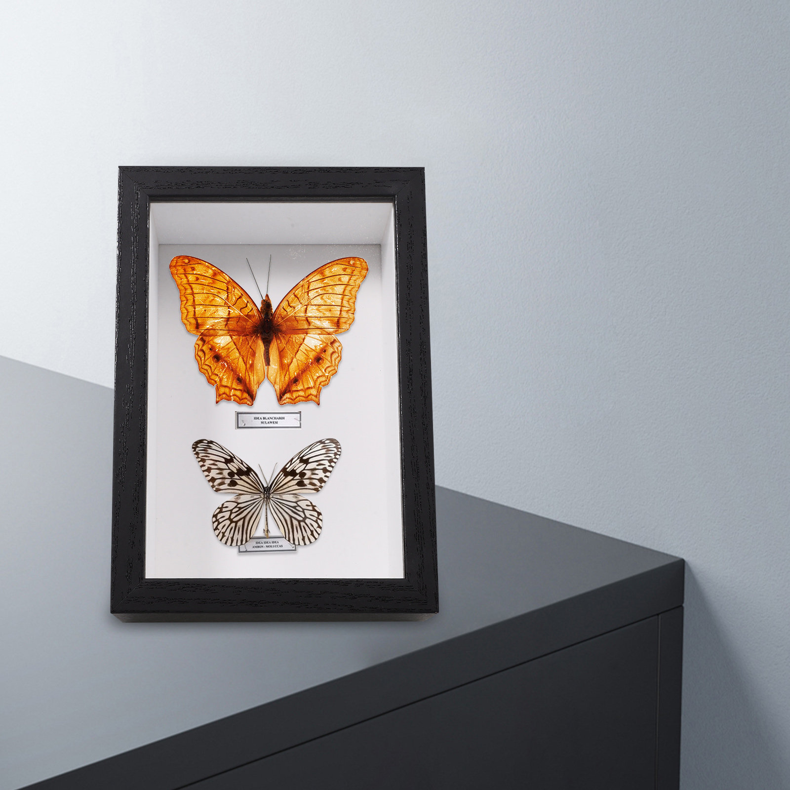 Pudełko na okazy owadów premiu – Insect Hotel Wood recenzja i cena