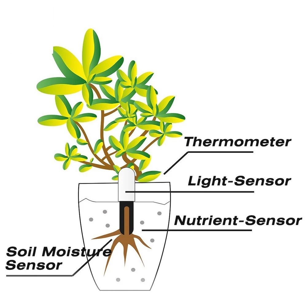 HHCC Flower Monitor Flora Gard – Smart Garden Monitor recenzja i cena